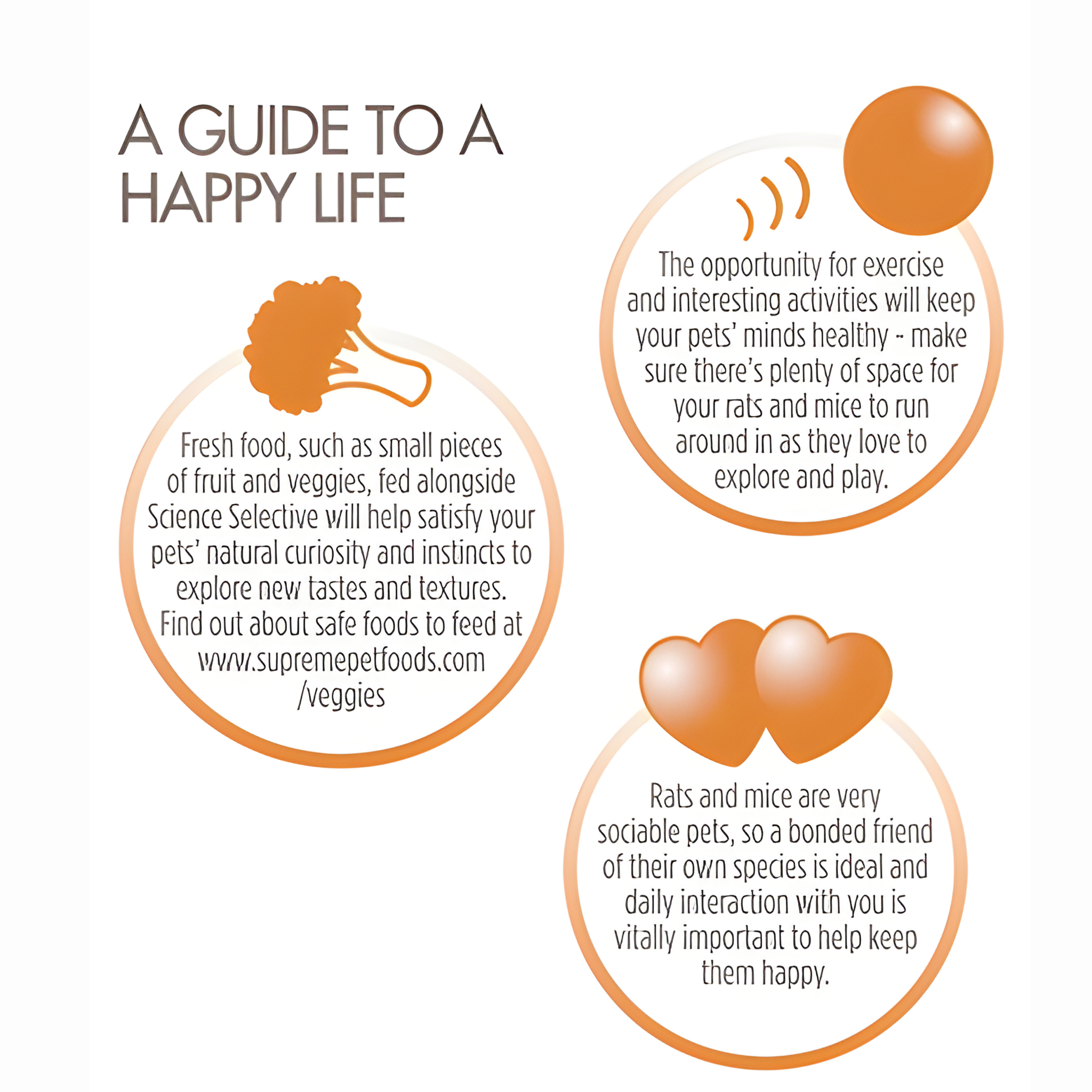 Supreme Science Selective Rat / Mouse - Pet Global Shop