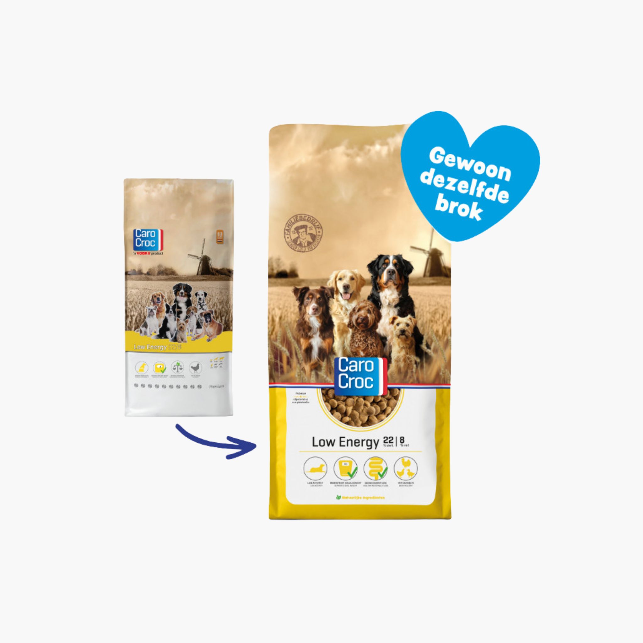 Carocroc Low Energy 22/8 - Pet Global Shop