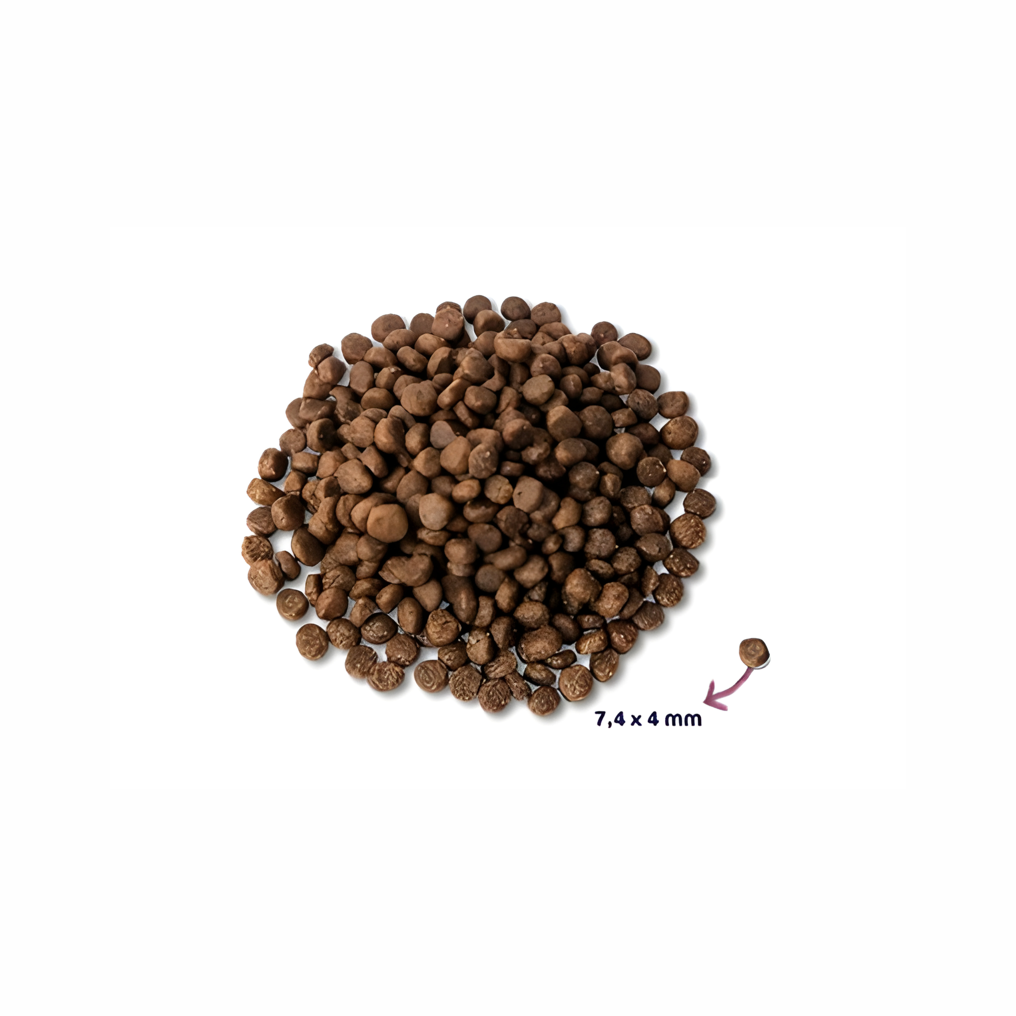 Renske Super Premium Puppy Kip / Lam - Pet Global Shop