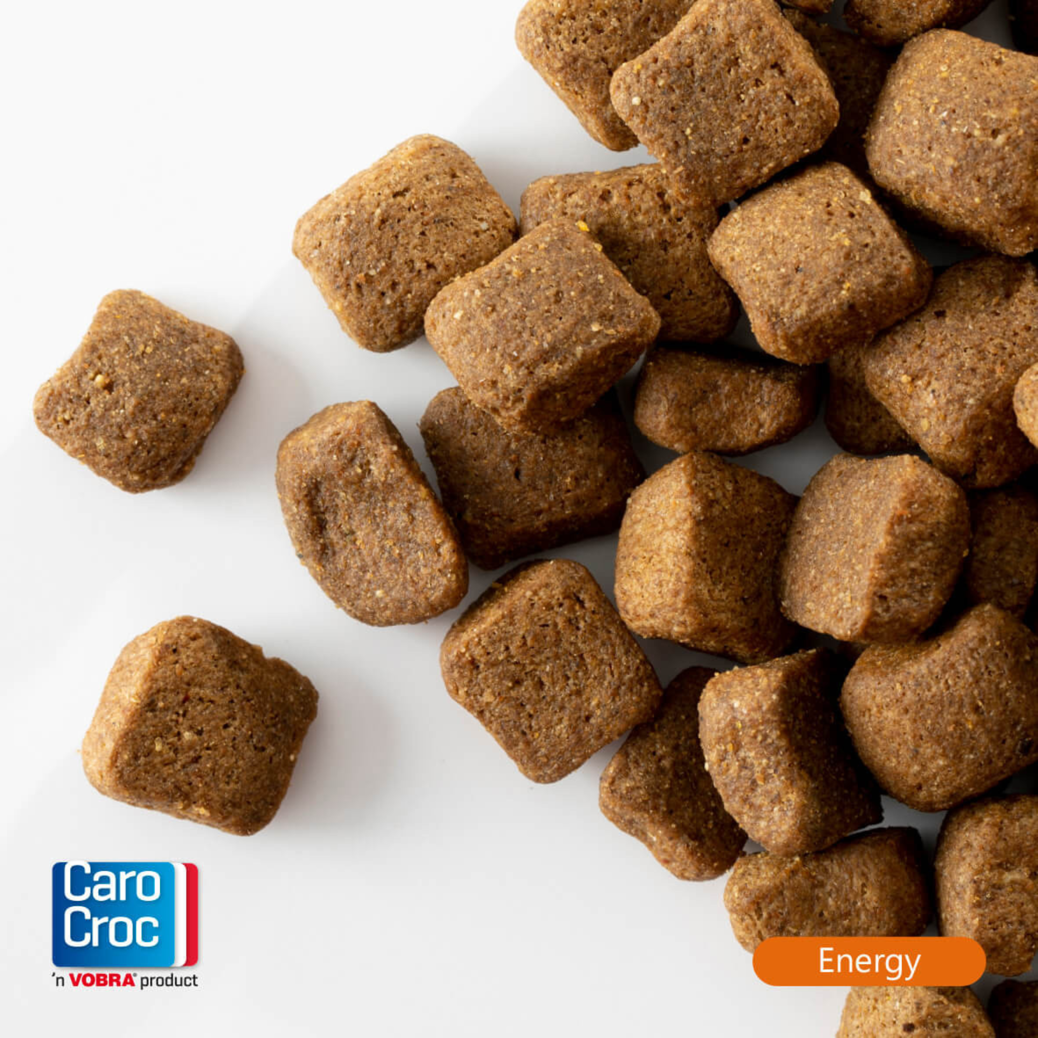 Carocroc Energy 25/16 - Pet Global Shop