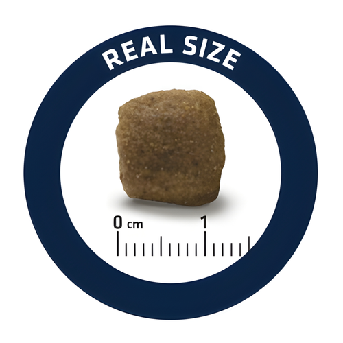 Advance Veterinary Diet Dog Articular Gewrichten Minder Calorieën